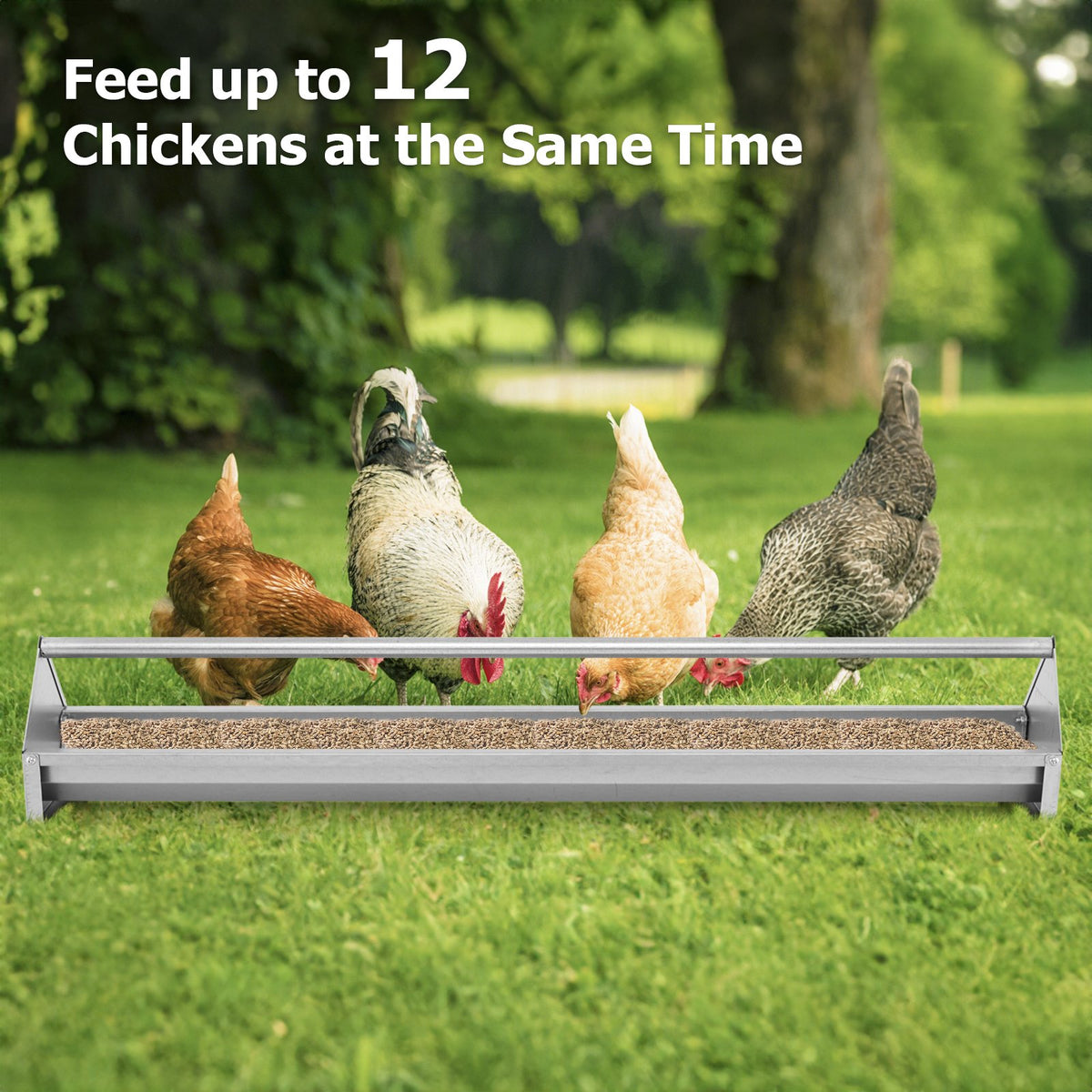 Metal Chicken Feeder Chicken Feeding Trough with Drainage Holes-Silver view 2