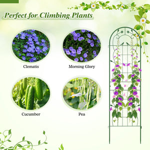 2 Pack 71 x 20 Inch Metal Garden Trellis Rustproof Plant Support for Climbing Plants-Green view 5