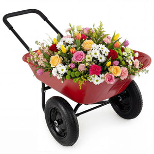 2 Tire Heavy-duty Dolly Utility Cart Wheelbarrow Garden Cart-Red view 2