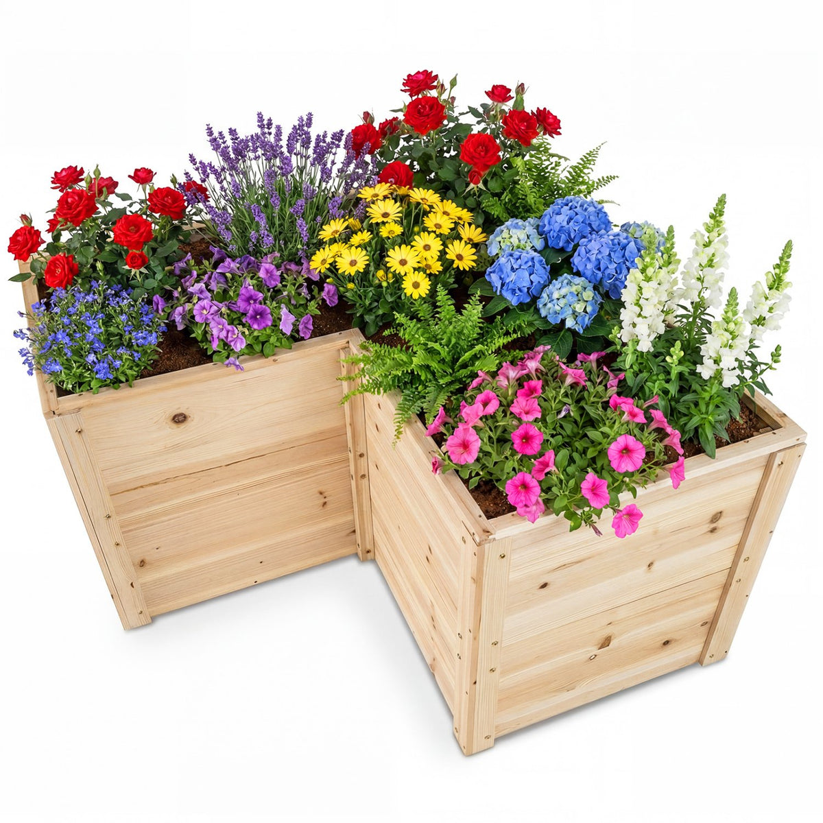 24 Inch L-Shaped Wooden Raised Garden Bed with Open-Ended Base-Natural view 4