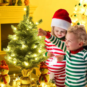 24 Inch Tabletop Fir Artificial Christmas Tree with LED Lights view 6