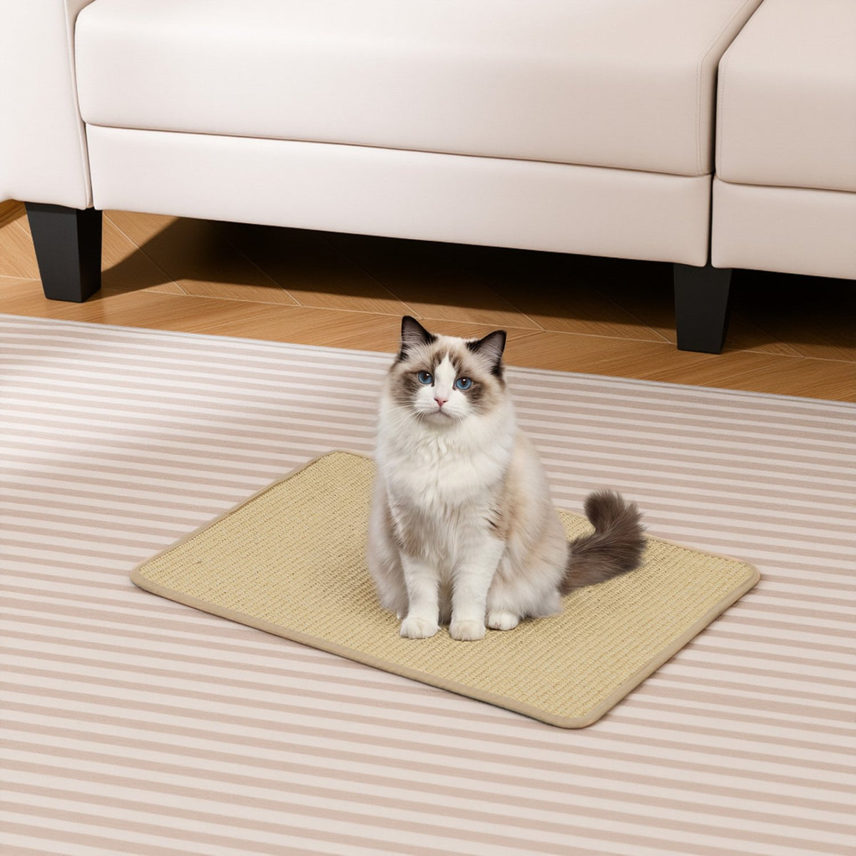 24 x 16 Inch 6-Piece Cat Scratcher Mat Set view 2