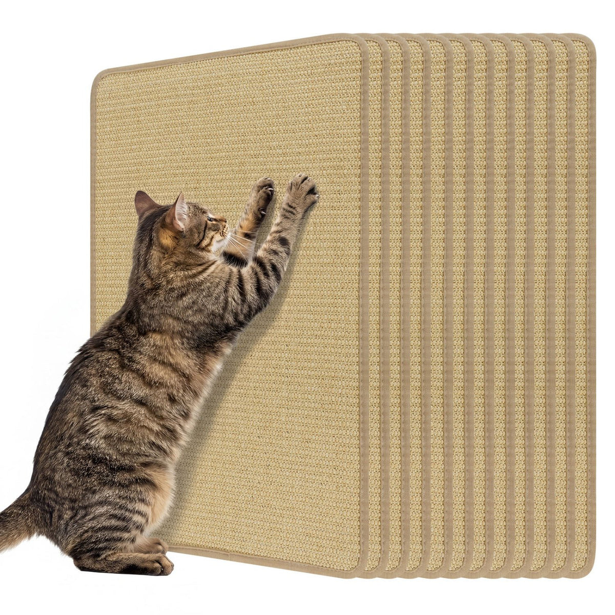 24 x 16 Inch 6-Piece Cat Scratcher Mat Set view 4