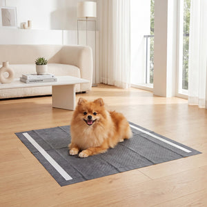 24 inches x 24 inches Charcoal Dog Pee Pads 6-Layer for Dogs-Black