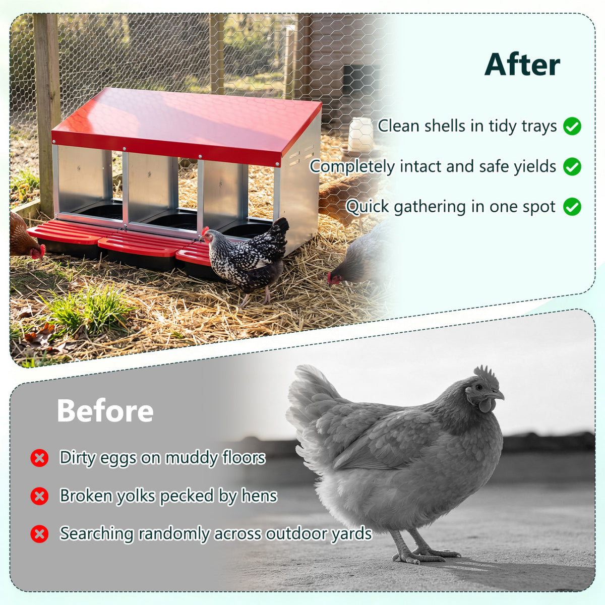 3-Compartment Roll Away Metal Chicken Nesting Box for Hens-Red view 8