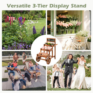 3-Tier Carbonized Fir Wood Plant Display Stand Wooden Dessert Candy Cart-Brown view 6