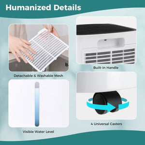 30 Pints 1500 Sq. ft Portable Dehumidifier For Medium To Large Spaces view 5