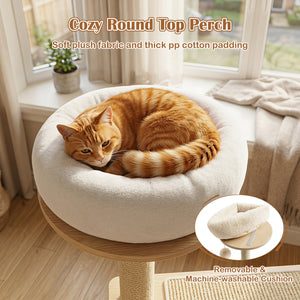 40 inches Solid Wood Cat Tree with Space Capsule & Sisal Posts and Scratching Board-Natural view 6