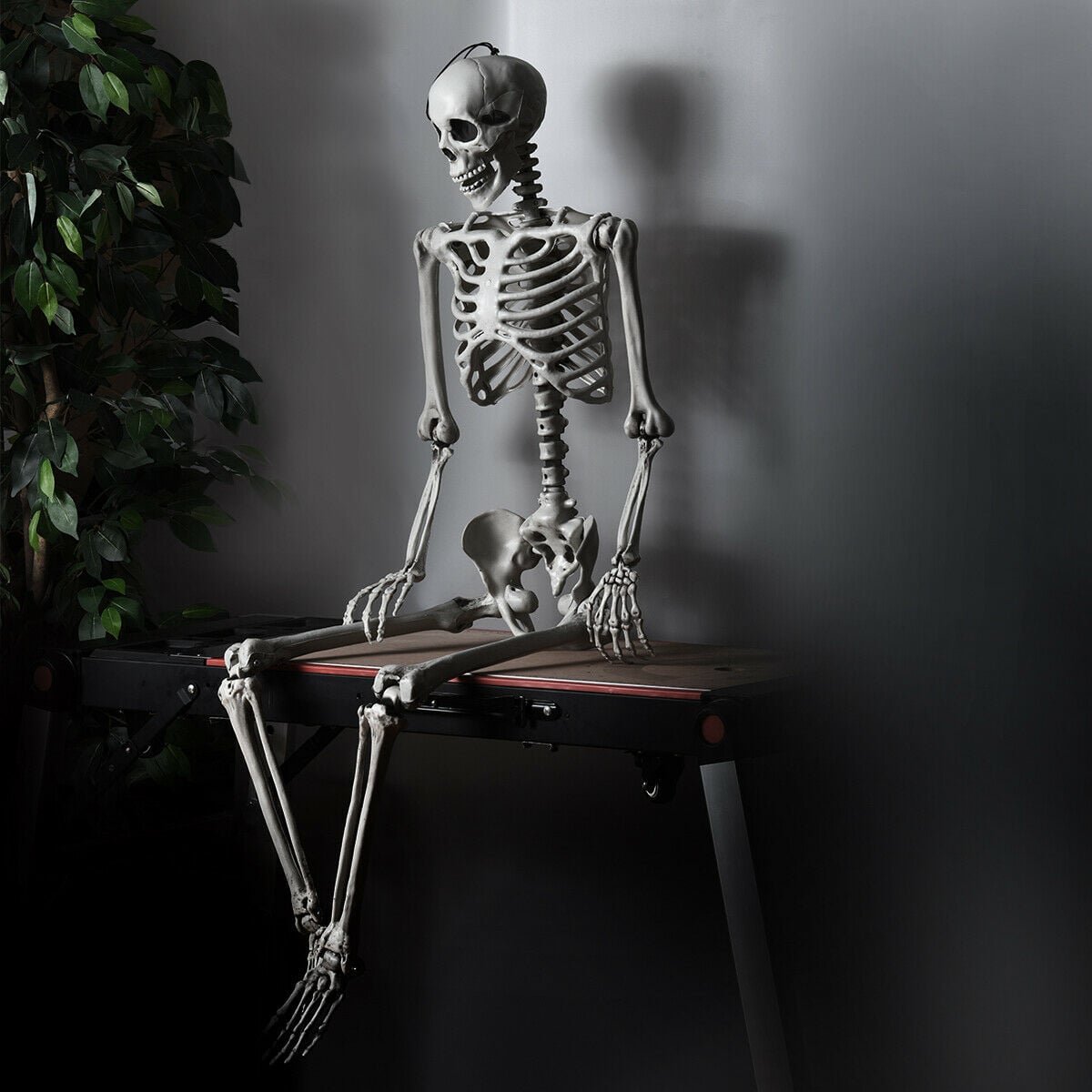 5.4 Feet Halloween Skeleton Life Size Realistic Full Body Hanging view 2