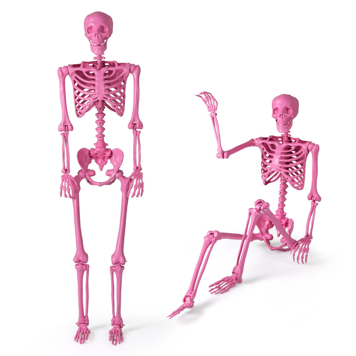 5.5 FT Life-Size Halloween Poseable Skeleton Pink Movable Joints