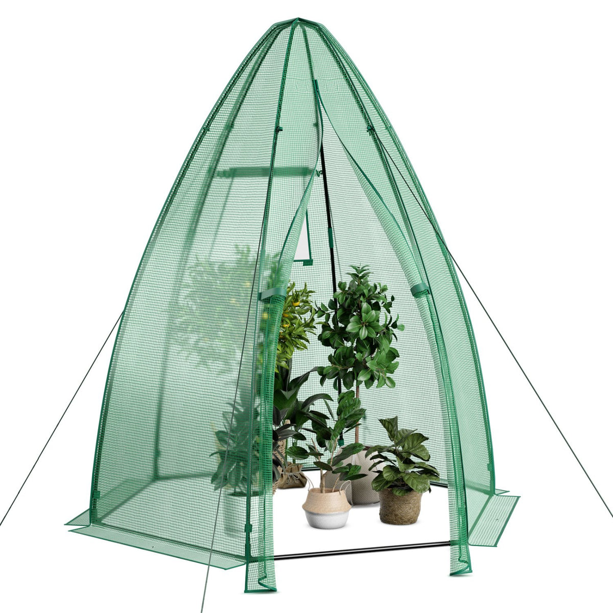 5.5 x 5.5 x 6 Feet Portable Mini Greenhouse with All-Weather PE Cover view 4