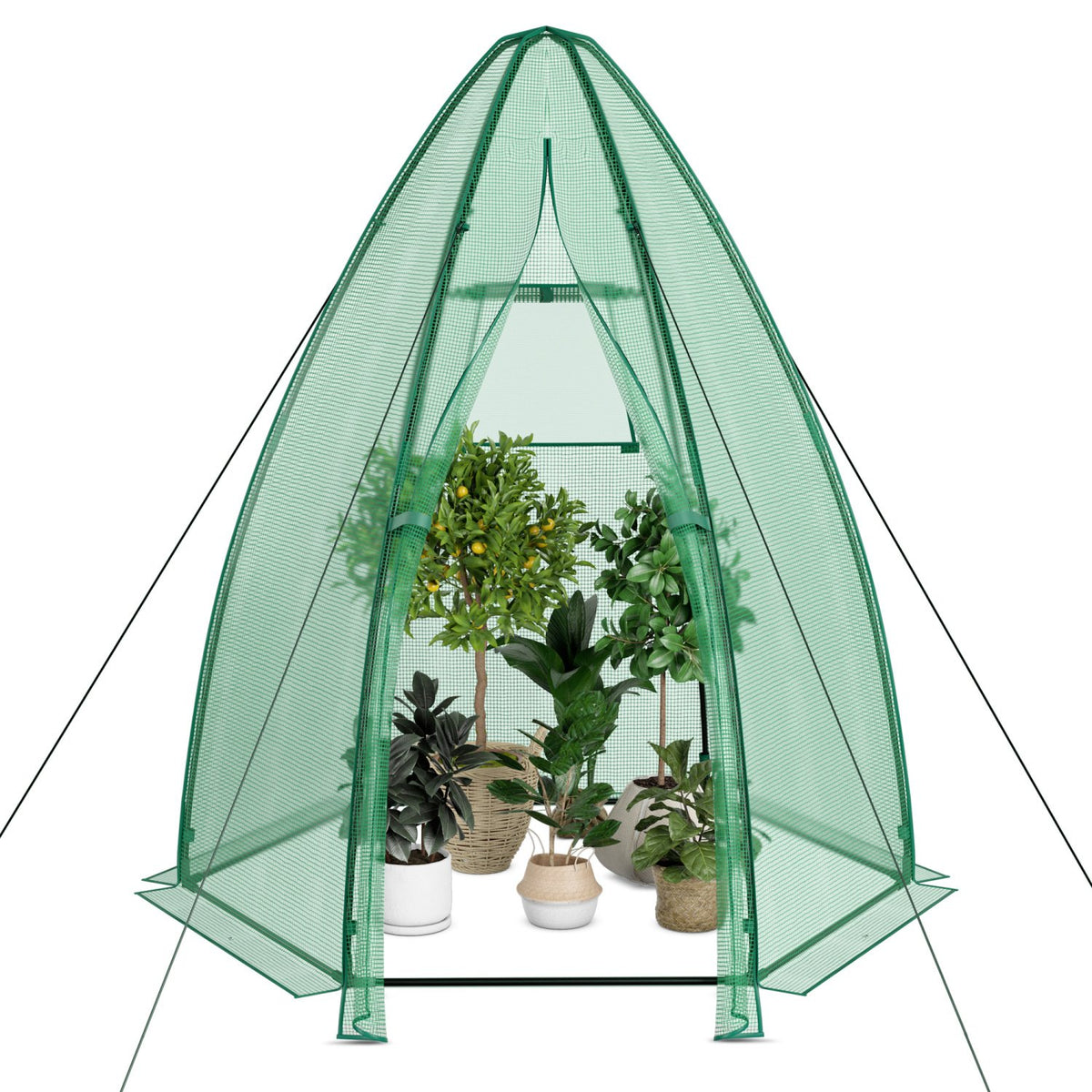 5.5 x 5.5 x 6 Feet Portable Mini Greenhouse with All-Weather PE Cover view 6