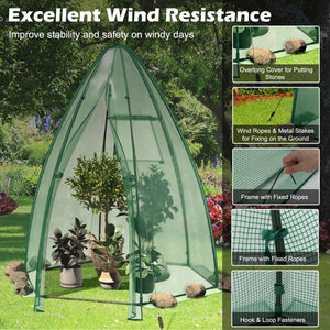 5.5 x 5.5 x 6 Feet Portable Mini Greenhouse with All-Weather PE Cover view 9