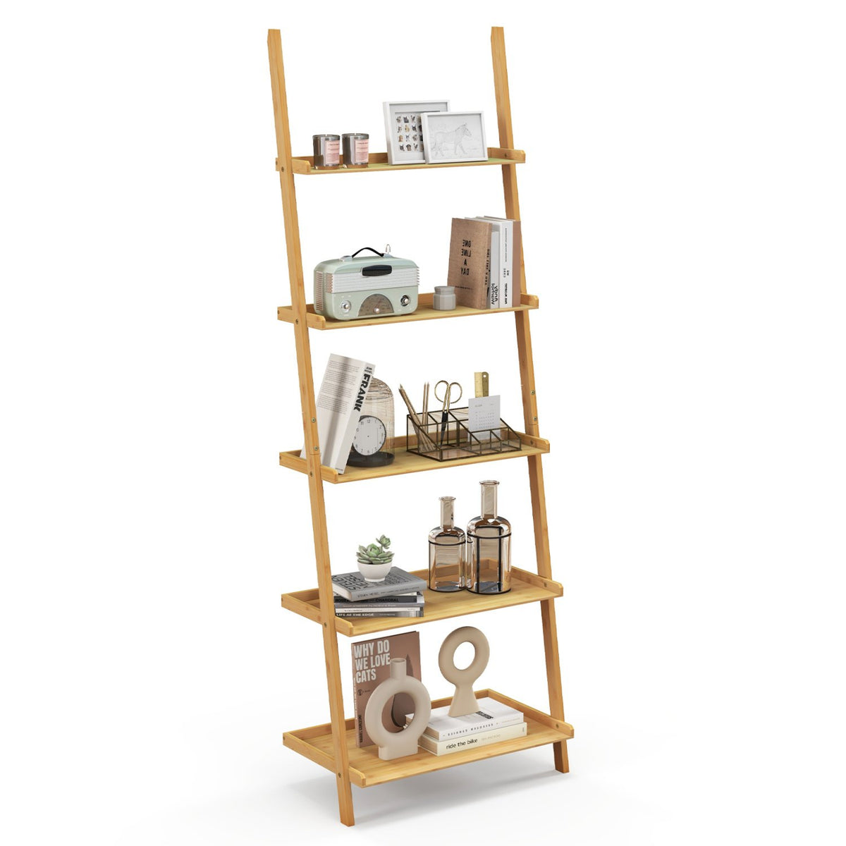 5-Tier Ladder Shelf Bamboo Bookshelf Wall-Leaning Storage Display Plant Stand-Natural