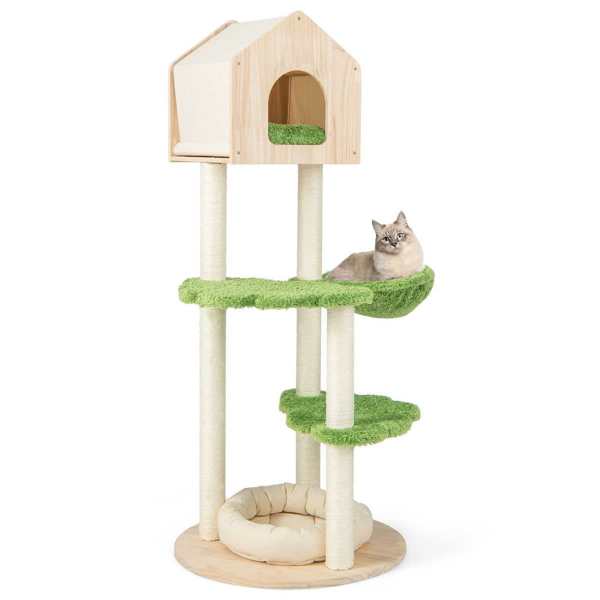 55 Inch Tall Cat Climbing Stand with Sisal Scratching Posts and Soft Cat Bed for Indoor Kittens-Green view 4