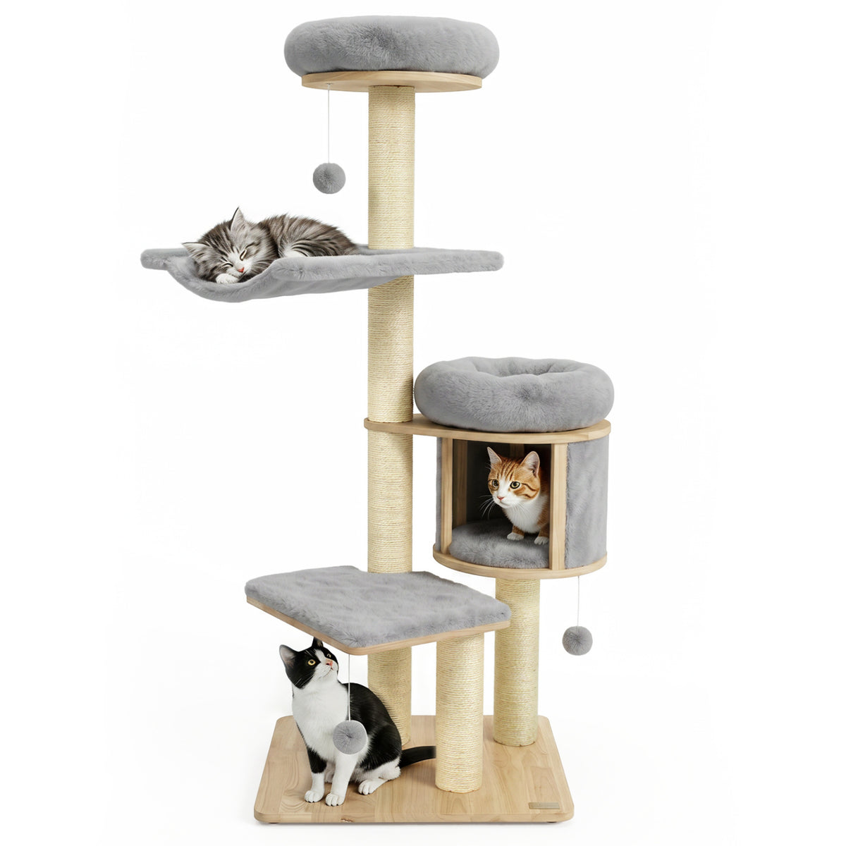 55 inches Solid Rubber Wood Cat Tree with Condo & Hammock and Scratching Posts for Adult Cats-Gray