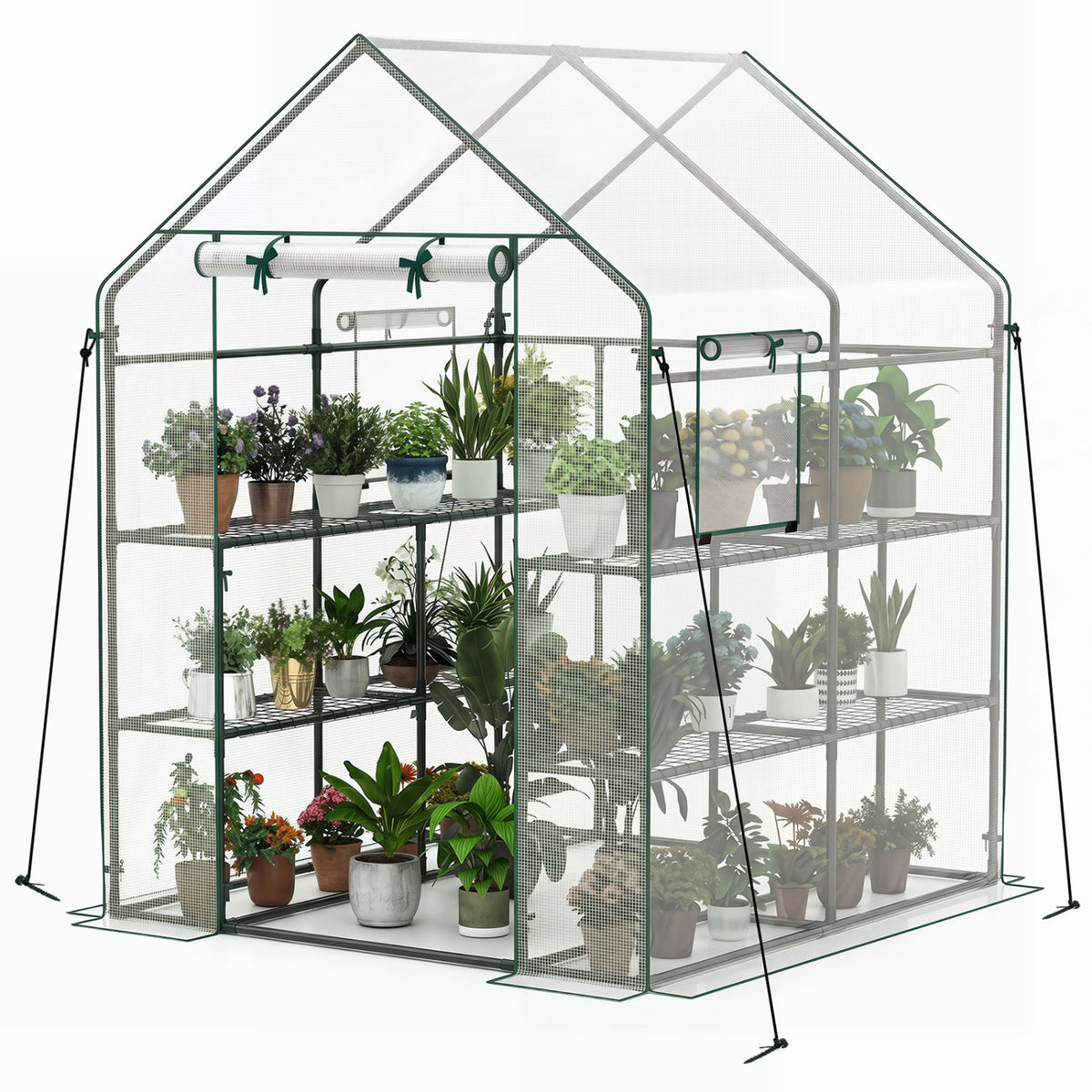 56 x 56 x 77 Inch Walk-in Greenhouse with Observation Windows-White view 4