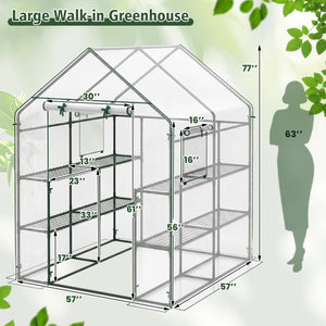 56 x 56 x 77 Inch Walk-in Greenhouse with Observation Windows-White view 5