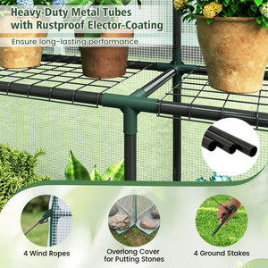 56 x 56 x 77 Inch Walk-in Greenhouse with Observation Windows-White view 6