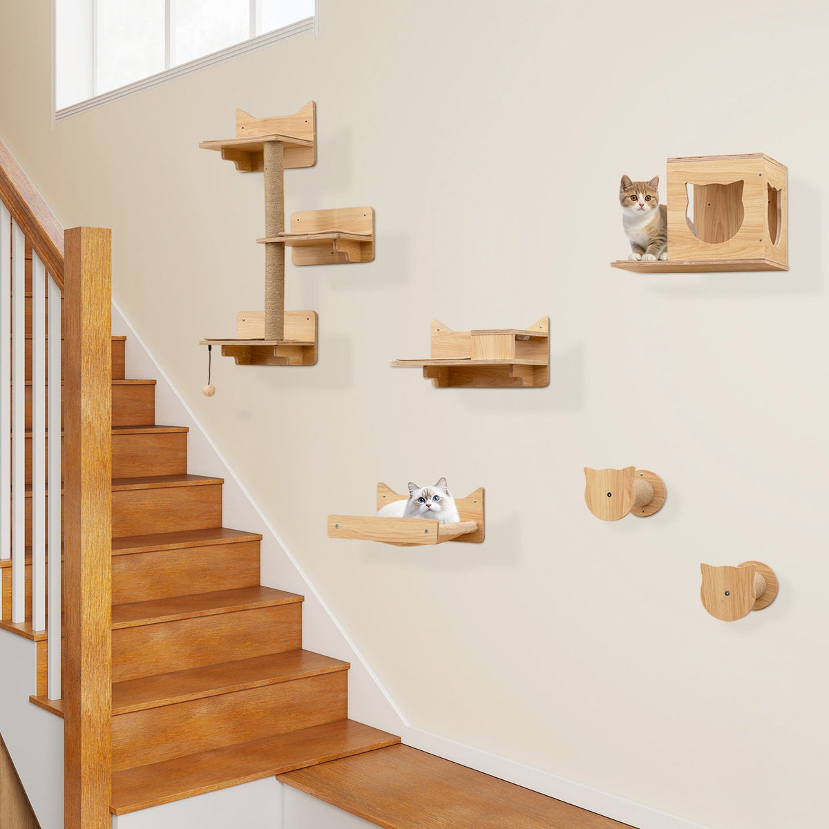 6 Pieces Cat Wall Furniture Set Kitten Wall Mounted Shelves-Natural view 3