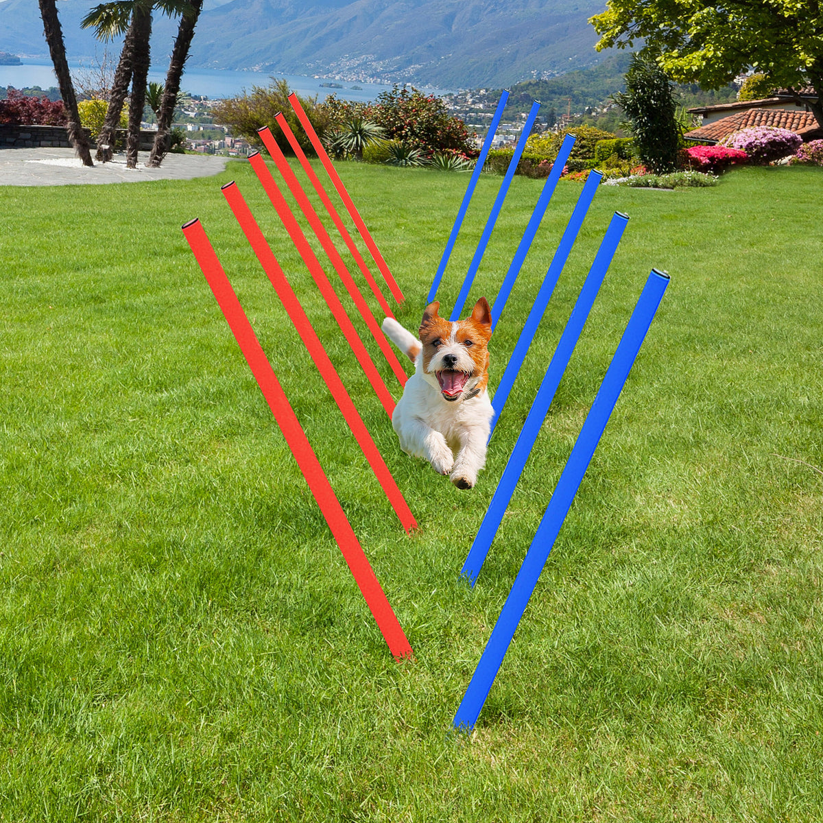 Dog Agility Equipment Set, Portable Dog Agility training equipment for Outdoor Play Run