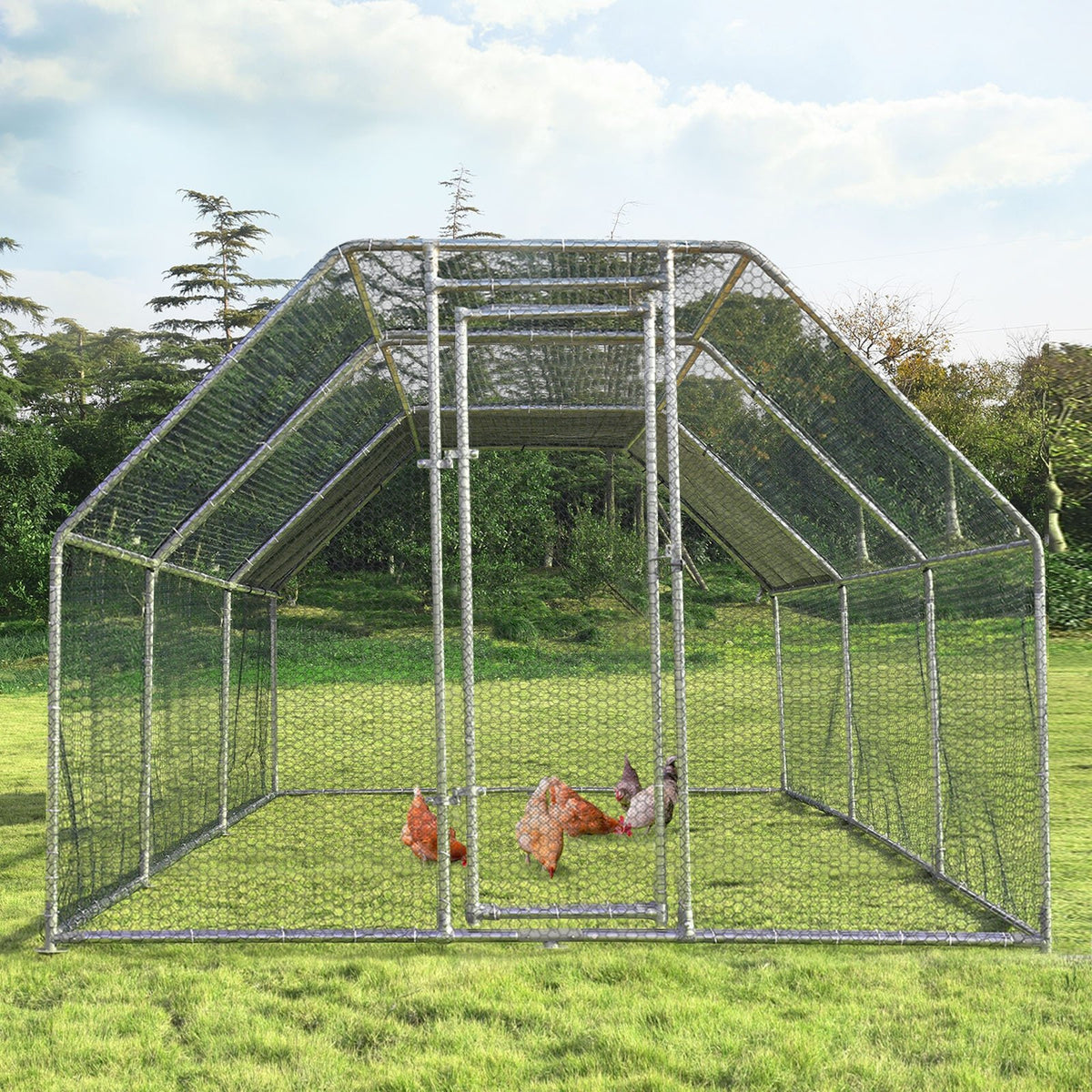 9.5 x 19 Feet Large Walk In Chicken Coop view 6