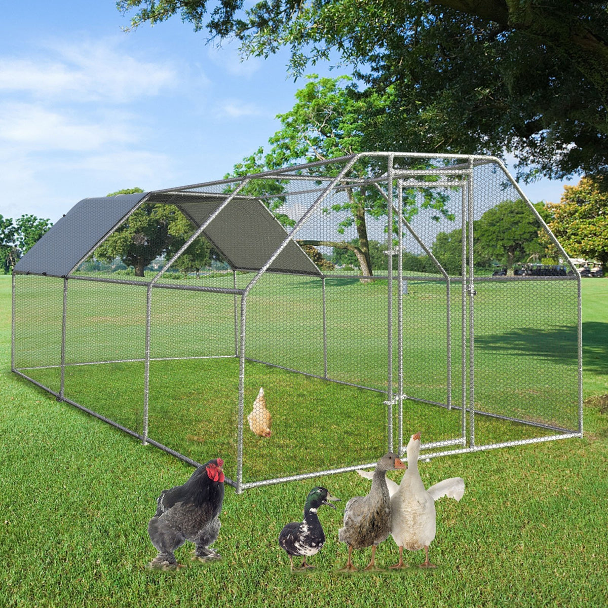 9.5 x 19 Feet Large Walk In Chicken Coop view 7