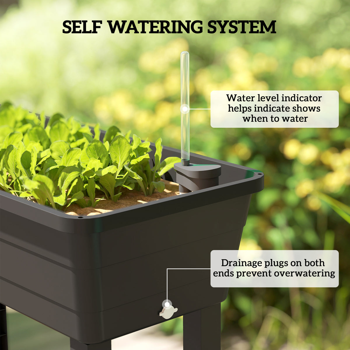 41L Self Watering Raised Garden Bed w/ Ventilation Transparent Lid Greenhouse – view 5