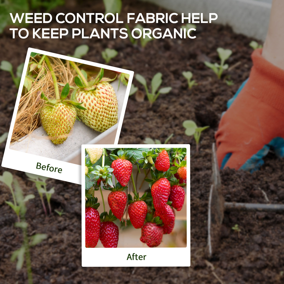 3ft x 300ft Weed Barrier, Landscape Fabric, for Greenhouse Yard Garden Weed Control, Heavy-Duty & Easy Setup, 3.5oz