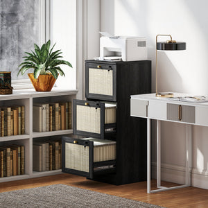 2 Drawer Filing Cabinet with Lock, Boho File Cabinet for A4 Letter Size Files with Decorative Rattan – view 21