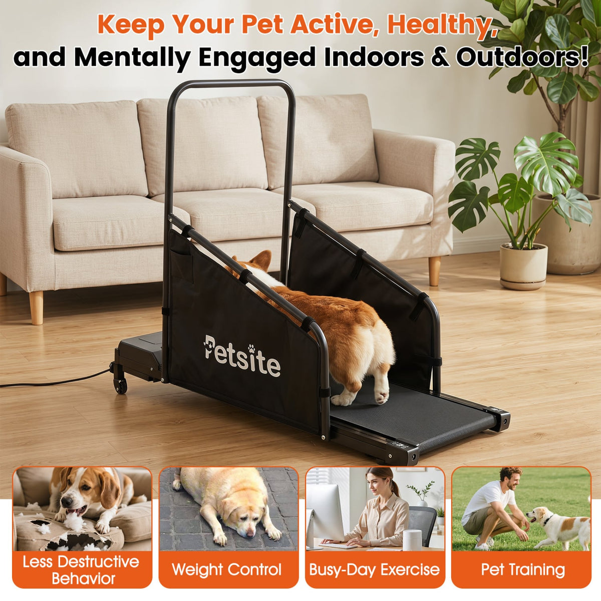 Dog Treadmill with Remote Control and LCD Display for Small Medium Dogs-Black view 4