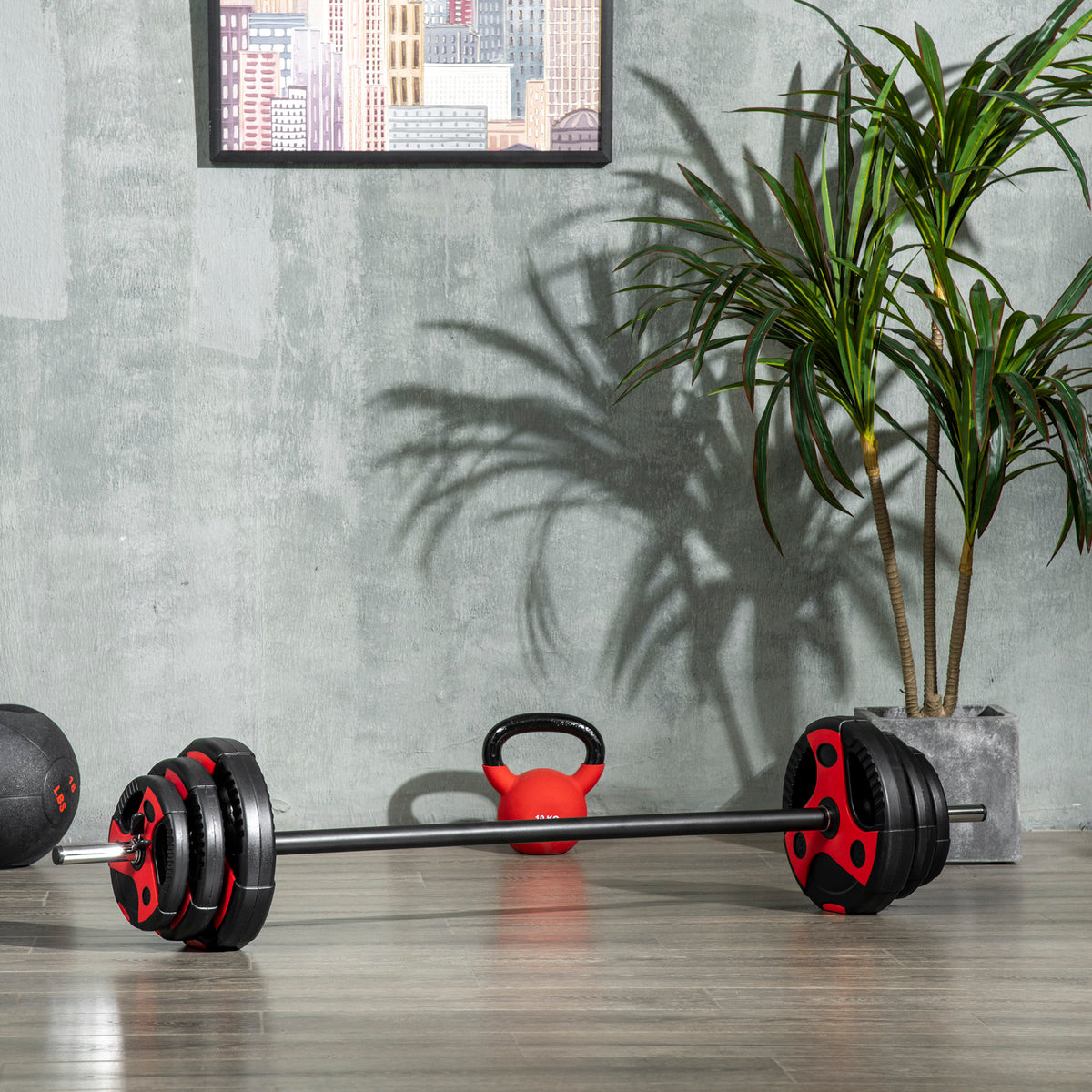 Soozier 44lbs Adjustable Barbell Weight Set, Solid One-Piece Barbell Bar and Weights for Home Gym Weight Lifting Strength Training Exercise, Max Load 110 lbs, Black and Red