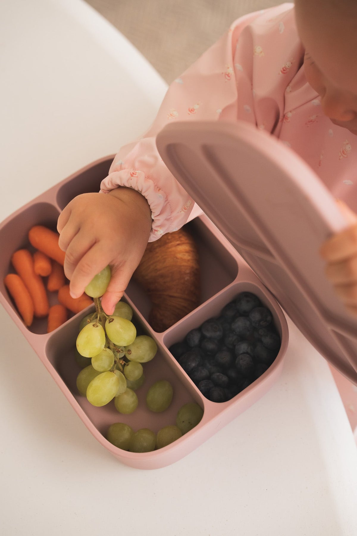 Silicone Bento Lunch Box - 4 Compartments - Micassoandco
