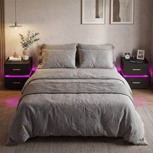 Nightstand with Charging Station LED Bedside Table with 2 Storage Drawers-Black view 9