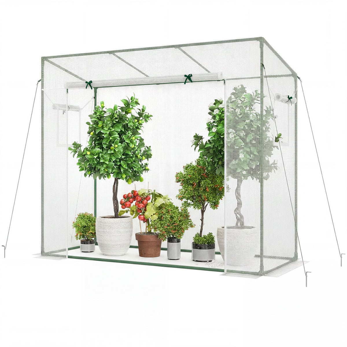 Outdoor Portable Walk-in Greenhouse with PE Cover Roll-up Zipper Door-White view 4