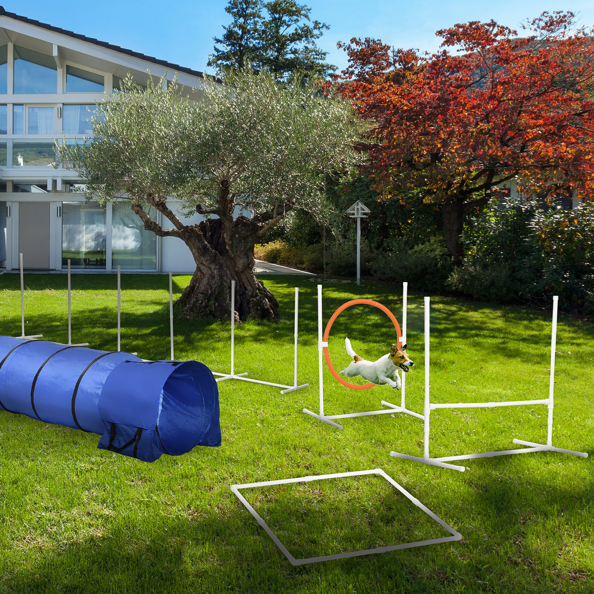 5Pcs Dog Agility Training Equipment with 8.7KG Net Weight, Pet Agility Set with Tunnels, Adjustable Jump Ring, Jumper, Weave Poles, Square Pause Box, Carrying Bag, Whistle