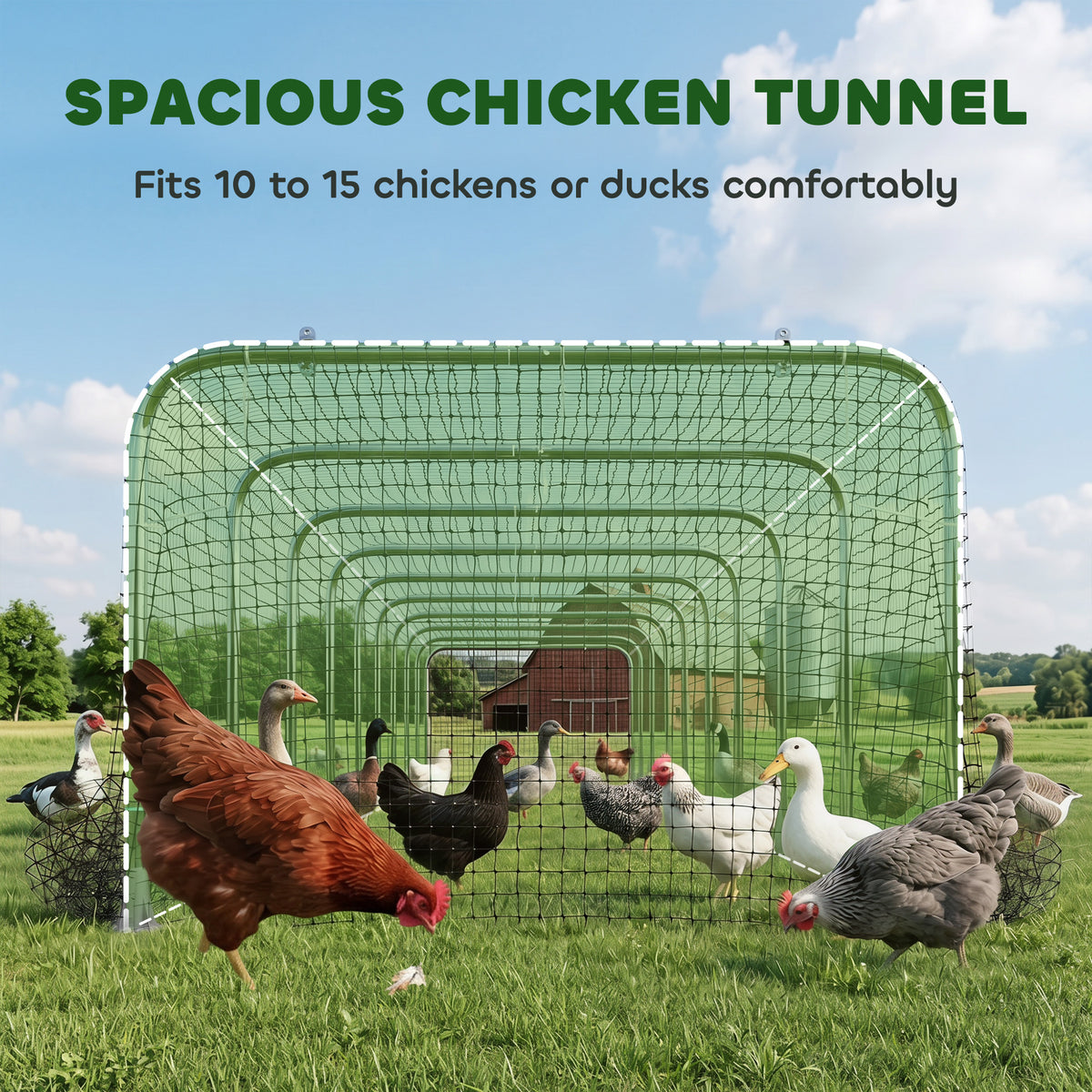 Extra Long Chicken Tunnel for Outside, 354" x 39" Galvanized Steel Chicken Run for 10-15 Chickens or Ducks