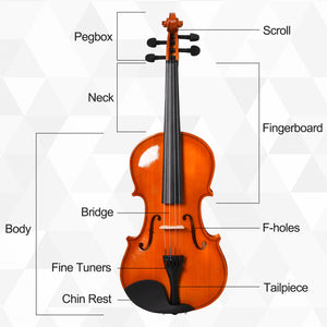 Soozier 4/4 Violin Maple Wood Full Set of Accessories Storage Box, Orange