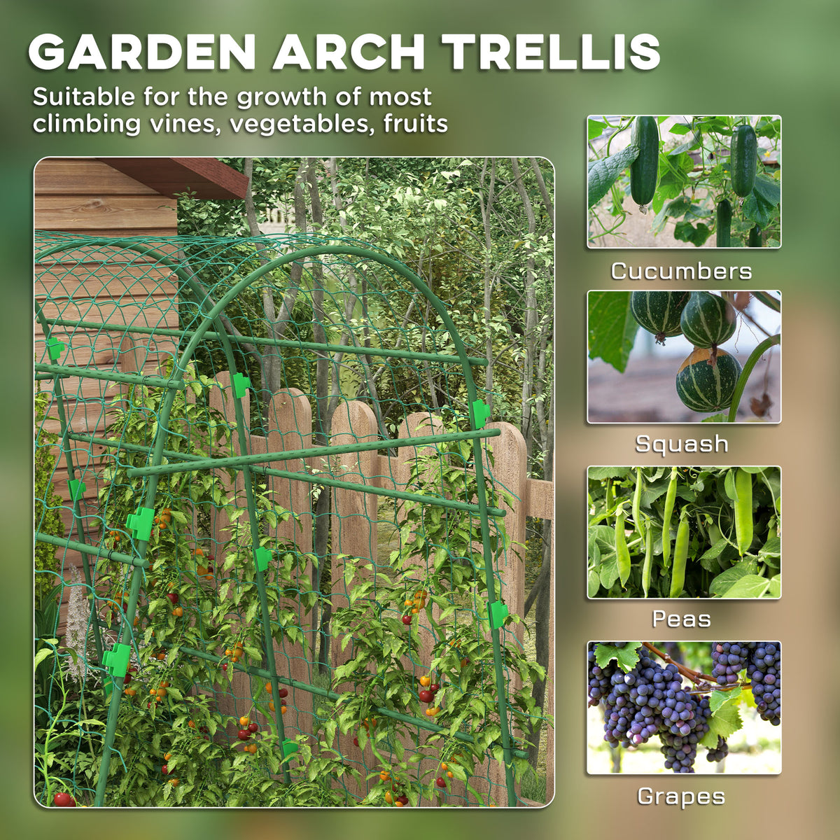 Arched Garden Trellis w/ Climbing Net Metal Cucumber Plant Trellis A-Frame for Climbing Plants 57" x 66" x – view 4