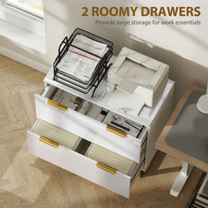 Lateral File Cabinet with 2 Drawers, Modern Filing Cabinet for Letter/A4/Legal Size Files, High Gloss Black – view 10