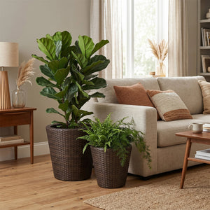 Set of 2 Plastic Taper Rattan Planters with Drainage Holes and Saucers-Brown view 2