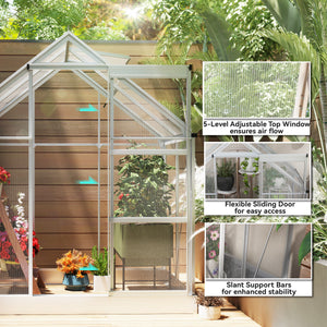 6' x 4' Walk-In Greenhouse, Polycarbonate Greenhouse with Sliding Door, Window, Aluminium Frame – view 3