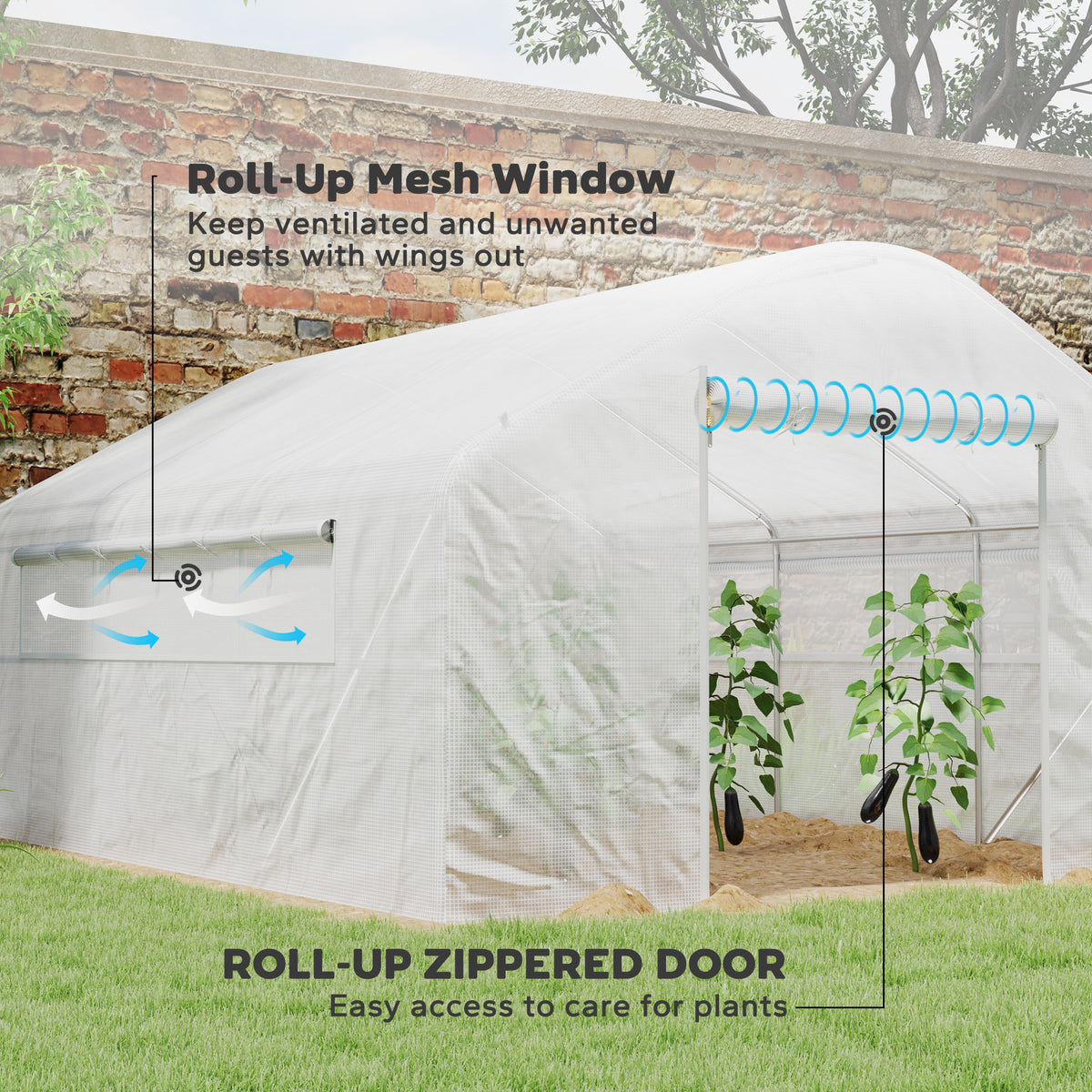 Walk-in Tunnel Greenhouse with Galvanized Steel Frame, Doors & Windows, Wind Resistant – view 11