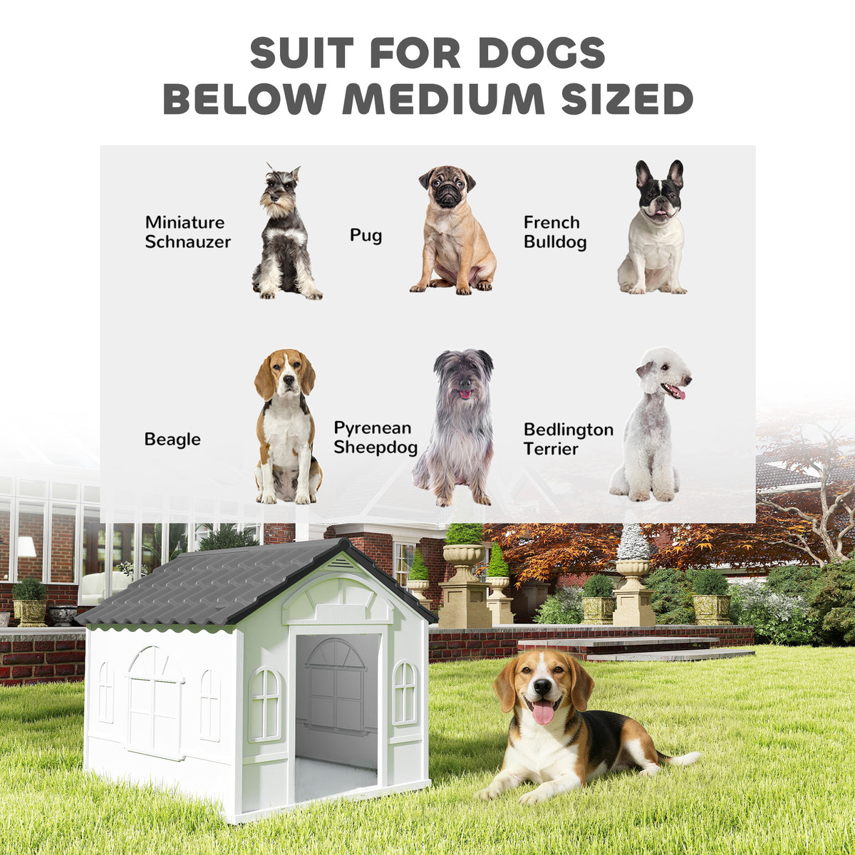 26" Plastic Dog House Outdoor with Air Vents, for Small Medium Dogs, Blue – view 13