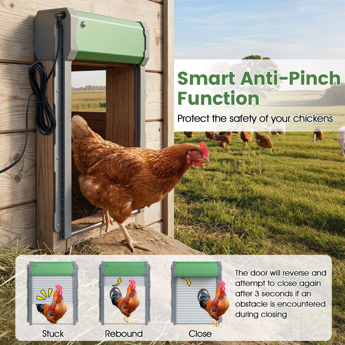 Automatic Chicken Coop Door with Remote Control and Light Sensor Timer view 5
