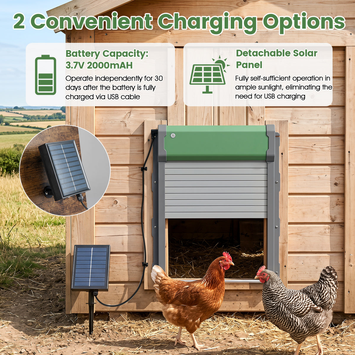 Automatic Chicken Coop Door with Remote Control and Light Sensor Timer view 7