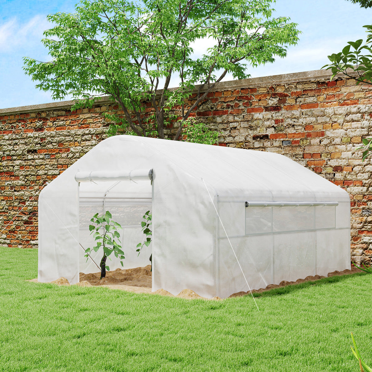 Walk-in Tunnel Greenhouse with Galvanized Steel Frame, Doors & Windows, Wind Resistant – view 14