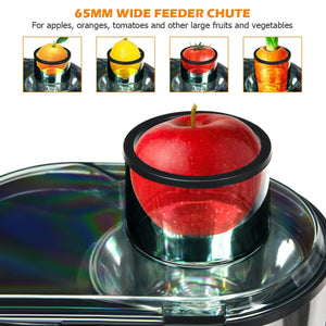 Centrifugal Juicer Machine Juicer Extractor Dual Speed view 6