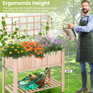 Raised Garden Bed Elevated Wooden Planter Box with Trellis view 6