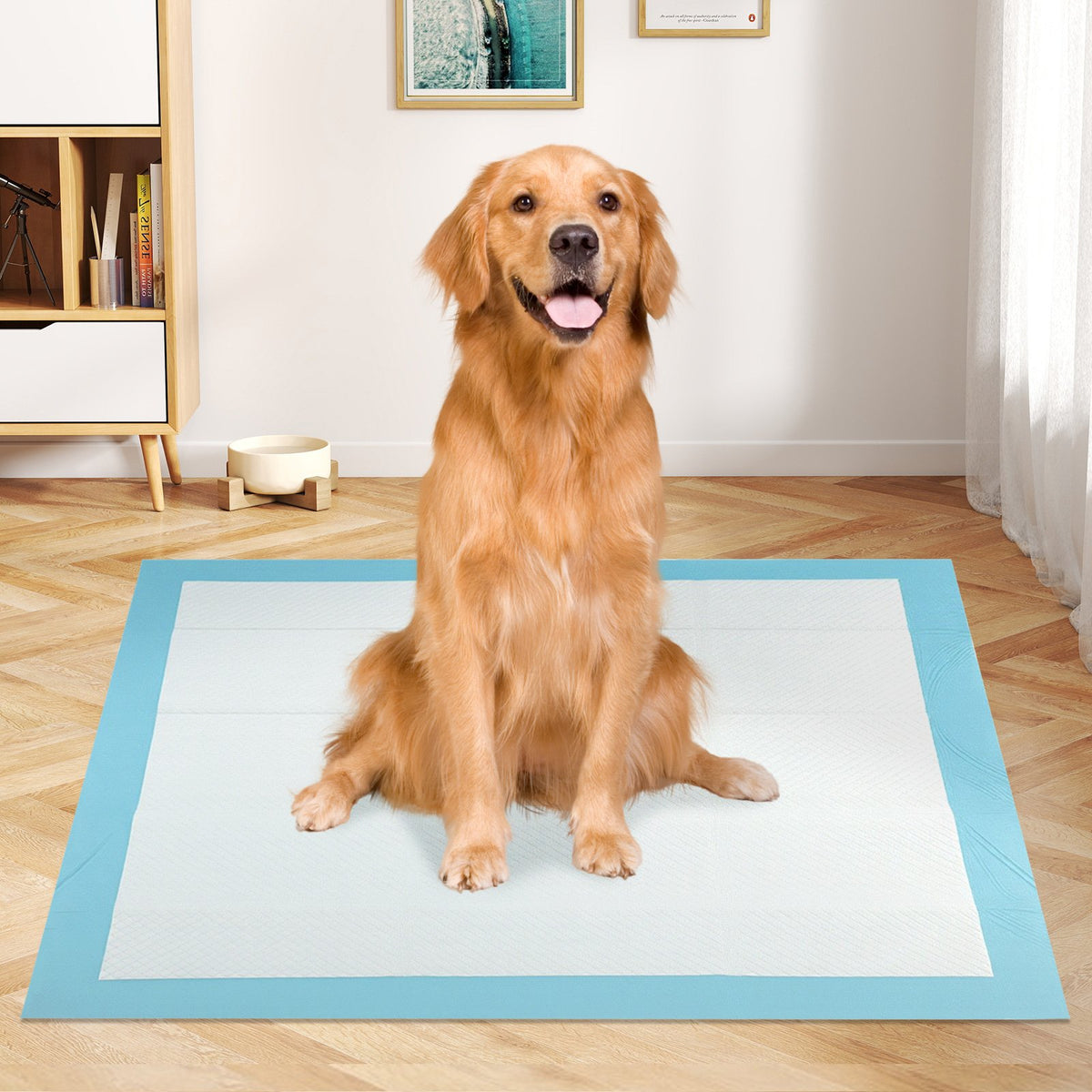 Dog and Puppy Pee Pads 36 inches x 36 inches (100 Counts) for Potty Training-Blue view 2